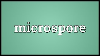 Microspore Meaning [upl. by Andras]