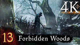 Bloodborne  First Time 4K 100 Platinum Walkthrough Part 13  Forbidden Woods [upl. by Ahsiele191]