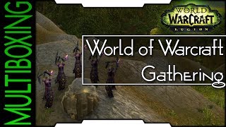 Multiboxing — World of Warcraft Gathering [upl. by Nonnahsal249]