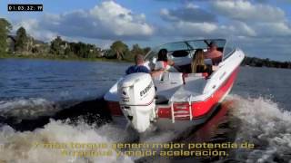 Evinrude Challenges VS Mercury [upl. by Nosloc603]