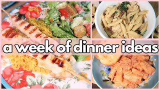 2 NEW INSTANT POT RECIPES  What’s For Dinner 340  1WEEK OF REAL LIFE MEALS [upl. by Leighland]