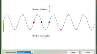 Transverse waves animation [upl. by Akemad927]