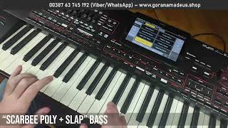 BASS GUITAR SAMPLES DEMO VIDEO [upl. by So]