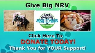 Give Big NRV Floyd County Humane Society 42617 [upl. by Kalagher76]