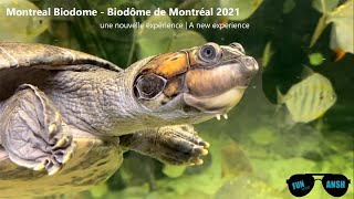 Montreal Biodome  Biodôme de Montréal 2021 [upl. by Enirolf]