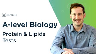 Protein amp Lipids Tests Biuret amp Emulsion Test  Alevel Biology  OCR AQA Edexcel [upl. by Trauner]