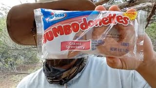 Review Hostess Jumbo Donettes Glazed Strawberry [upl. by Etirugram]