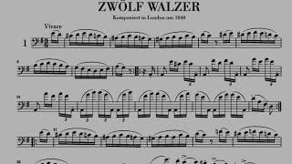 Domenico Dragonetti  12 Waltzes for Double Bass Solo [upl. by Patton706]