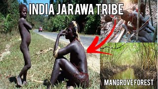 Tribes of Andaman II Jarawa Sentinelese Onge Tribe  Mangrove forest [upl. by Hedgcock]