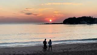 Pelican flying over Terrigal Beach People and dogs Silhouettes Sunrise [upl. by Boatwright]