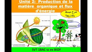 Production de la matiére organique svt 1 Bac sc ex Biof unité 2 شرح بالداريجة [upl. by Urbai597]