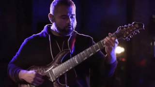 Animals As Leaders  The Brain Dance Dunlop Sessions [upl. by Eihtak]