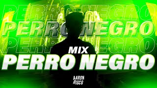 MIX PERRO NEGRO  TOP 2023 FERXXO Bad Bunny Karol G Quevedo Bad Gyal etc [upl. by Zap205]