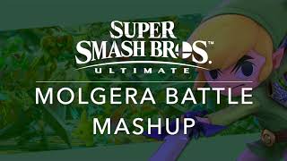 SSBU Molgera Battle Mashup Wind WakerSSBU [upl. by Tierney547]