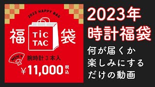 【2023年】腕時計福袋が届く前にwktkする動画！内容予想【TicTacメンズ1万円】 [upl. by Anissej]