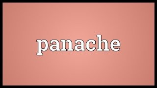 Panache Meaning [upl. by Aicat]