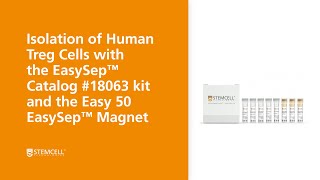 How to Isolate Human Regulatory T Cells Tregs Using the Easy 50 EasySep™ Magnet [upl. by Fabyola517]