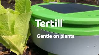 Tertill is Gentle on Plants but Fierce on Weeds [upl. by Ystap788]