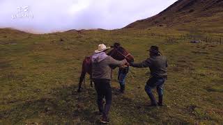 Buscando Caballos Cerreros en los Páramos de Colombia  Versión Invierno  Parte 3 [upl. by Singleton416]