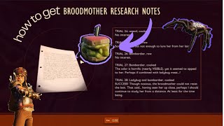 How to get the Broodmother BLT in grounded  2024 [upl. by Murat730]