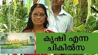 Terrace farming  Manorama News Nattupacha [upl. by Pickens635]