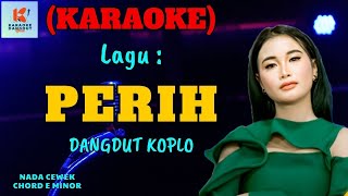 Perih Karaoke Nada Cewek  Karaoke Dangdut Official  Cover PA 600 [upl. by Andriette617]