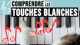 Conseils et astuces pour reconnaître les touches blanches du piano 🎹 Apprivoiser son clavier [upl. by Phillips]