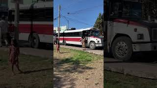 Acarreo masivo en MORENA camiones en Juárez Chihuahua Parral [upl. by Yarahs]