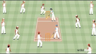 How to Play Cricket [upl. by Naamann705]