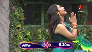 Bigg Boss Telugu 8  Day 64  Promo 1  Nomination Drama Begins 🔥 Nagarjuna  Star Maa [upl. by Dilan855]