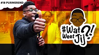 WATWEETJIJ  18 Purmerend [upl. by Ecerahs]