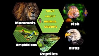 Song About Animal Groups for Children Animal Classification Vertebrates Sing and Learn Science [upl. by Ogawa]