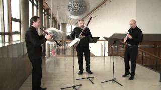 WA Mozart  Divertimento No1 KV349  Allegro [upl. by Nilrac763]