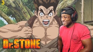 On The Move  Dr Stone Episode 3  Reaction [upl. by Fabien]