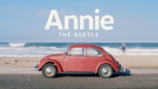 Annie the Beetle  Owner Spotlight [upl. by Stav]