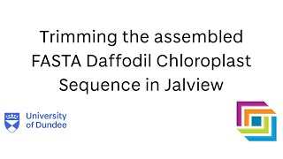 Video 5 Trimming the Sequence Assembly using Jalview [upl. by Sremlahc]