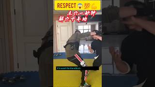 most dangerous fighting moves 😱 💪 challenge kungfu [upl. by Selie]