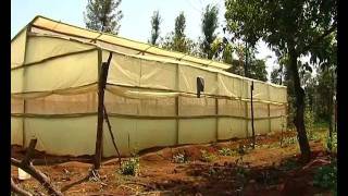 Low cost greenhouse farming [upl. by Rimat]