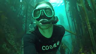 Freediving with Stunning Visibility  North Oudekraal Cape Town [upl. by Itsur]