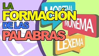 ¿Qué son los MORFEMAS ¿Cuáles son sus TIPOS [upl. by Christiansen281]