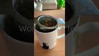 Wormwood tea 🍵 [upl. by Aimit]