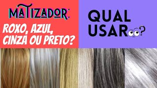 Qual matizador usar em cabelos grisalhos Preto cinza roxo ou azul [upl. by Anauqal]