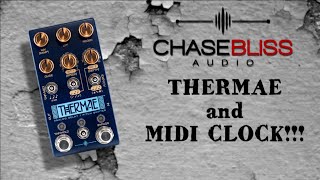 Chase Bliss Audio THERMAE and MIDI CLOCK awesome  Alfonso Corace [upl. by Eixel]