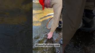 Spring is here Book your trip today brooktrout wncmountains flyfishing guide vaction [upl. by Ekenna]