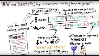 What is Bioinformatics [upl. by Helyn]