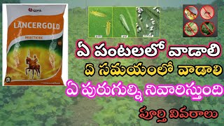 Lancergold insecticde Use in Telugu  Upl Lancergold Full Details telugu  Lancergold telugu [upl. by Immas597]