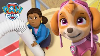 Katie leads the PAW Patrol to rescue Mayor Goodway and more  PAW Patrol Episode Cartoons for Kids [upl. by Acinomahs]