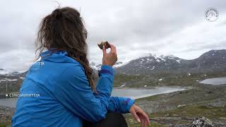 The Nordland Trail Narvik [upl. by Reinaldos]