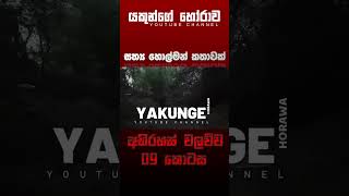 අභිරහස් වලව්ව 09 කොටස  sinhala holman katha sinhalaholmankatha horrortok viral foryou [upl. by Colwell]