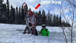 SKIDOO SUMMIT DITCH BANGING POLE LINES SWAMPS 2022 [upl. by Anik200]